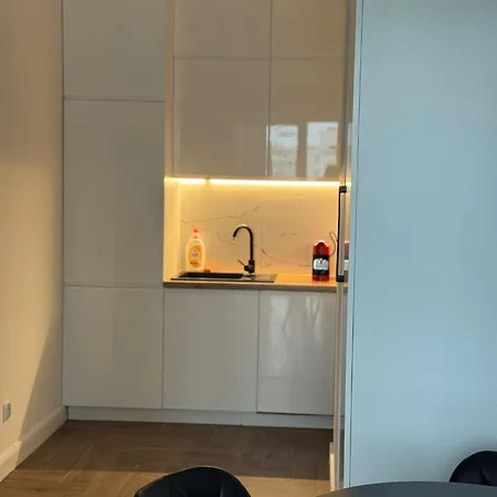 Riverside With Cityscape Views Kwiatkowskiego Free Parking アパート ジェシュフ